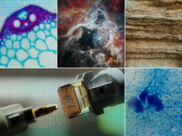 Accelerating scientific discovery with AI | MIT News