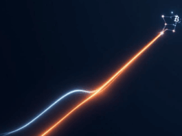 Bitcoin to $200K, XRP to $100? Gemini’s Top Crypto Bull Run Predictions