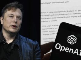 Elon Musk reacts to OpenAI’s ‘fake stock’ warning for investors: 'Your equity is…'