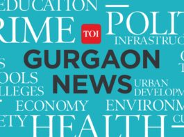 AI app, dashboard to help track violations in protected Aravalis | Gurgaon News