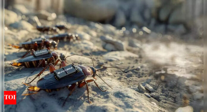 1753694756_photo.jpg Germany turns live cockroaches into spies with AI-powered backpacks |