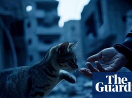 ‘You can make really good stuff – fast’: new AI tools a gamechanger for film-makers | Artificial intelligence (AI)