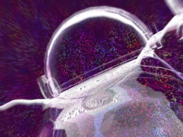 Q&A: How Warp 2.0 Compares to Claude Code and Gemini CLI