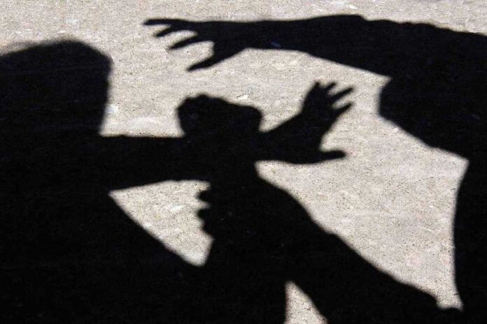 4021949-0-66154400-1752573805-fight-shadow-100787429-orig.jpg fight shadow