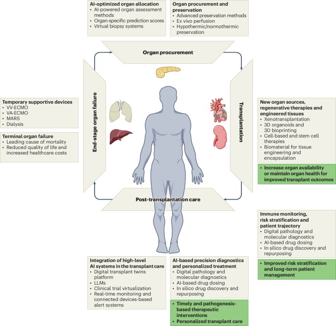 41591_2025_3801_Fig1_HTML.png Reshaping transplantation with AI, emerging technologies and xenotransplantation
