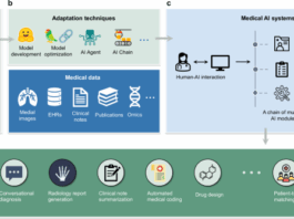A perspective for adapting generalist AI to specialized medical AI applications and their challenges