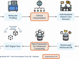 Large language models-enabled digital twins for precision medicine in rare gynecological tumors