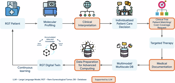 41746_2025_1810_Fig1_HTML.png Large language models-enabled digital twins for precision medicine in rare gynecological tumors