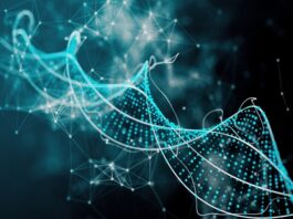 How AI applications are facilitating new life science discoveries | Results Pack | CORDIS