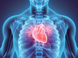 CMS sets Medicare payment for AI-enabled ECG analysis, boosting Viz.ai’s HCM detection tool