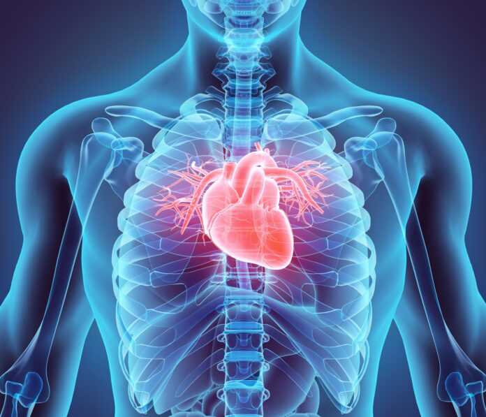 57b01ee1541a4ef55ad3c7c6e4e8aabaca1d256e-7000x6000.jpg CMS sets Medicare payment for AI-enabled ECG analysis, boosting Viz.ai’s HCM detection tool