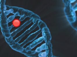 A “true lifecycle approach” for governing healthcare AI
