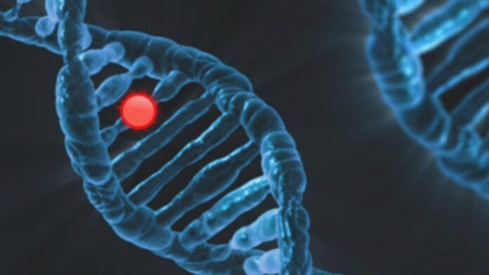 A “true lifecycle approach” for governing healthcare AI