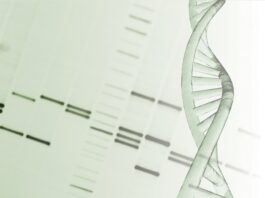 New AI tool predicts age from DNA with unprecedented accuracy