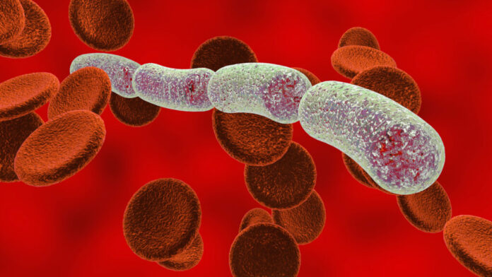 AdobeStock_108860332-1024x576.jpeg What this Ohio health system learned from testing an AI tool to predict sepsis
