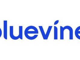 SMBs See AI as a Tool, Not a Threat to Jobs, Bluevine Survey Finds
