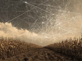 Op-Ed: CBRS private network jitters