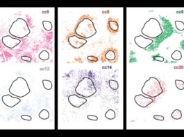 AI tool maps cancer in 3D detail