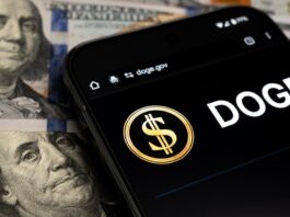 DOGE Develops Custom AI Model for Regulatory ‘Delete’ List