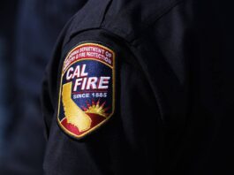 CalFire logo on shirt