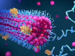 BioEmu AI reveals protein choreography in biological conditions