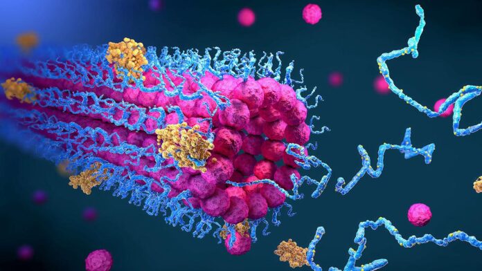 IMG_BL2309_Quantum_Secon_2_1_3EDC3455.jpg BioEmu AI reveals protein choreography in biological conditions