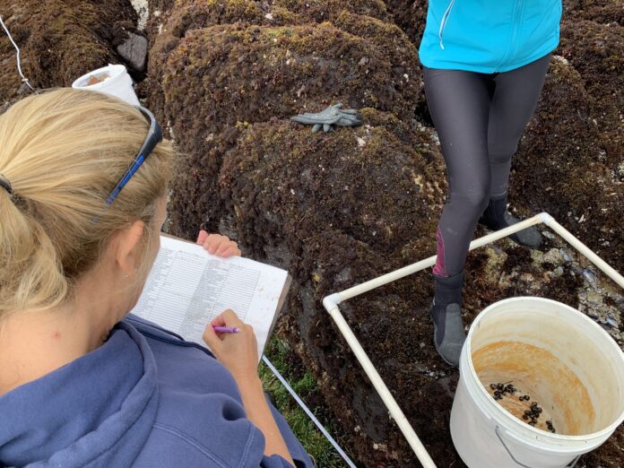 Intertidal_transect_sampling_04-scaled.jpg Analyzing Grant Data to Reveal Science Frontiers with AI