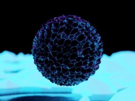 The implications for AI‐driven diagnostics and early‐stage MedTech startups are substantial and, frankly, urgent.