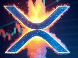 Google’s AI Gemini Predicts When XRP Will Hit $10 & Tips New Altcoin for 3100% Surge
