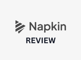Napkin AI Review.