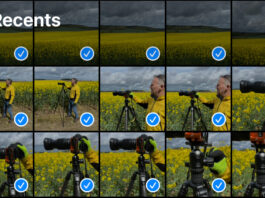 Many images of yellow fields in iPhone camera role with blue ticks 