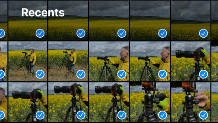 ZVZeat44dGm2Dgc9UZ29t6.jpg Many images of yellow fields in iPhone camera role with blue ticks