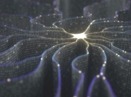 neural network