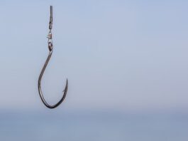 Attackers Use "native Phishing" With M365 And AI Tools