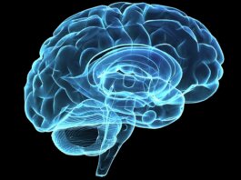 MIT Study Warns AI Tools Like ChatGPT May Affect Brain Development, Critical Thinking In Youth