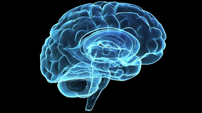 brain_mapping.jpg MIT Study Warns AI Tools Like ChatGPT May Affect Brain Development, Critical Thinking In Youth