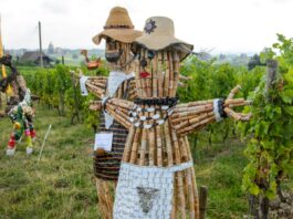 Switzerland testing AI tools to make scarecrows more effective