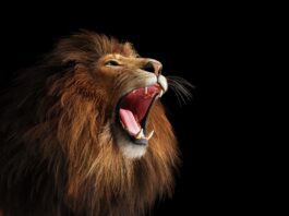 Alphabet Stock: About To Go Into Beast Mode With AI (NASDAQ:GOOG)