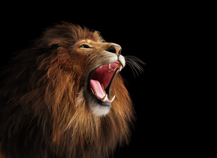 image_1390859978.jpg Alphabet Stock: About To Go Into Beast Mode With AI (NASDAQ:GOOG)