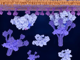 GREmLN: A New AI Model Trained in Molecular Logic