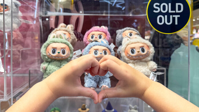 Labubu at a store