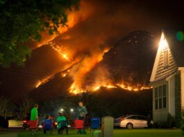 AI tools show promise — and limits — in fighting false information during disasters