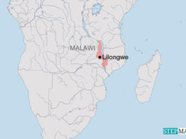 How Malawi embraces AI to support smallholder farmers