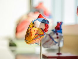 AI Heart Tool Melds Global Stakeholder Insights