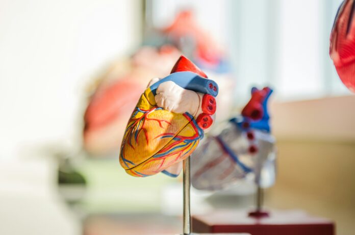 AI Heart Tool Melds Global Stakeholder Insights
