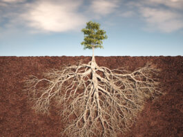 When AI Imagines a Tree: How Your Chatbot’s Worldview Shapes Your Thinking