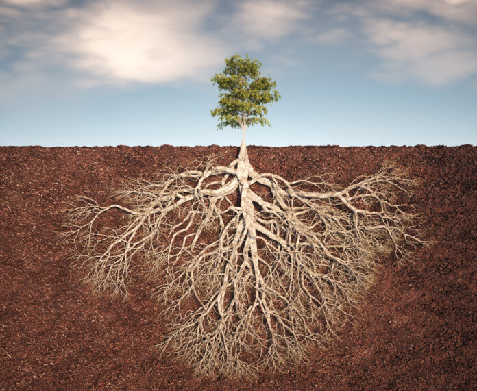 When AI Imagines a Tree: How Your Chatbot’s Worldview Shapes Your Thinking