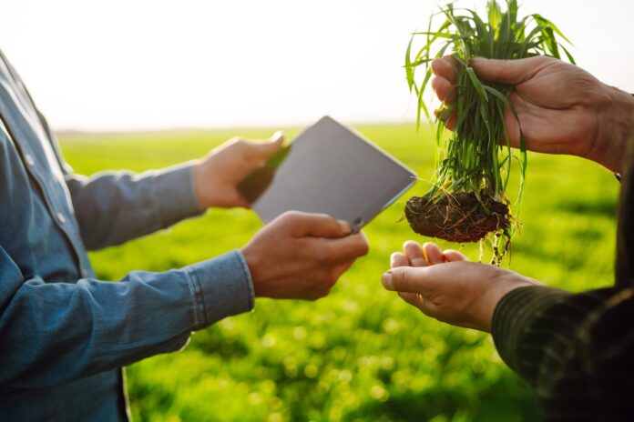 Student builds AI app to help farmers tackle crop issues