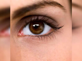 Doctors validate AI tool for glaucoma detection using smartphone cameras | Hyderabad News