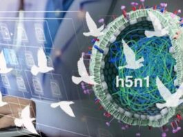 New-Gen AI Tool To Detect Bird Flu Virus Exposure, Boost H5N1 Surveillance | Technology News